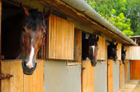 free Holmesdale stable construction quotes